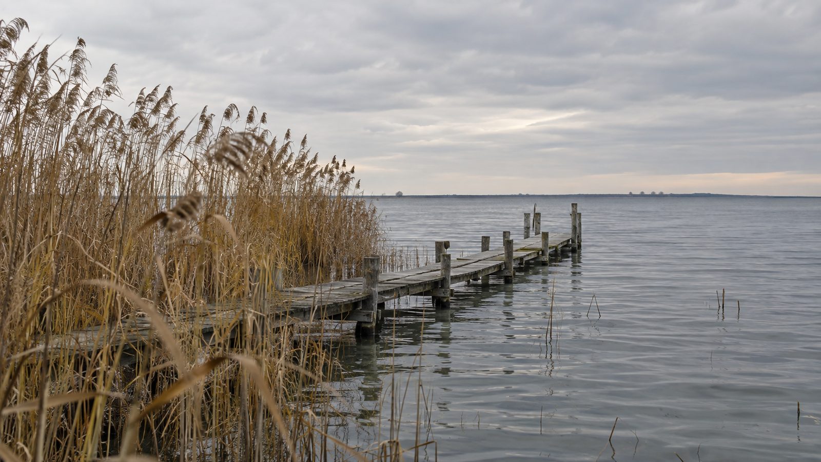 Neusiedler See als Wahrzeichen des Burgenlands – Computerhilfe im Burgenland